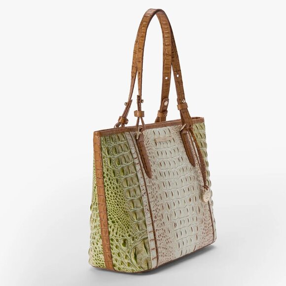 NWT ✅ Brahmin Medium Asher FERN WILLIAMETTE Leather Satchel ✨NWT, COA & DUSTBAG - Picture 3 of 17